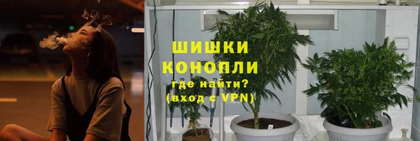 прущие крисы Зеленодольск