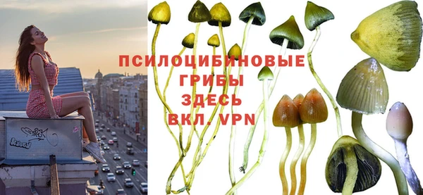 прущие крисы Зеленодольск